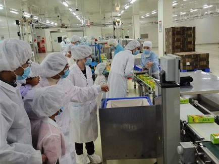 首页- yl6809永利集团中国官方网站
